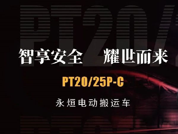 ȫҫ | @늄Ӱ\܇PT20/25P-Cu